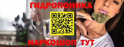 СК Гусев