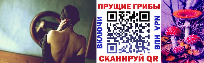 МЕГА как зайти  Кисловодск  Псилоцибиновые грибы Psilocybine cubensis 